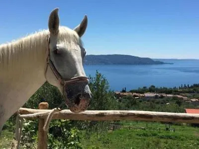 Farm stay Scuderia Castello