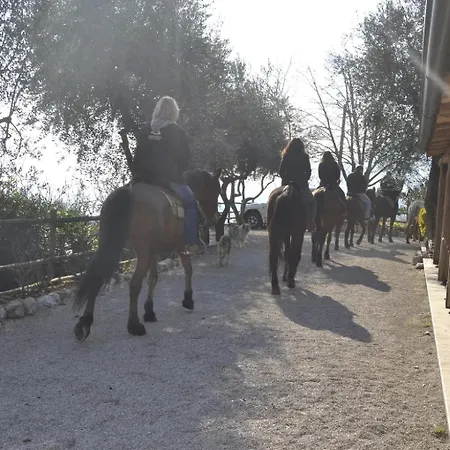 Scuderia Castello